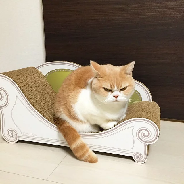2jGPm2ze7l.webp