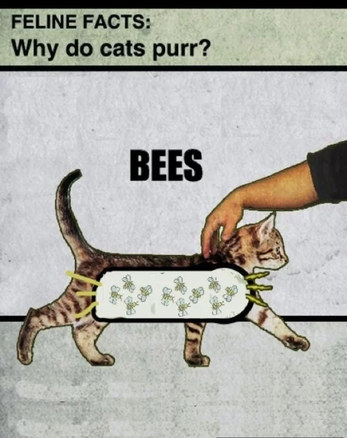 2Kkbcqb2kV0.webp