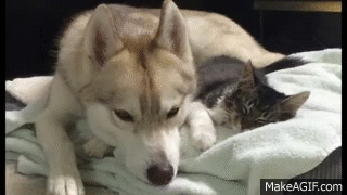 2MxBWE.gif