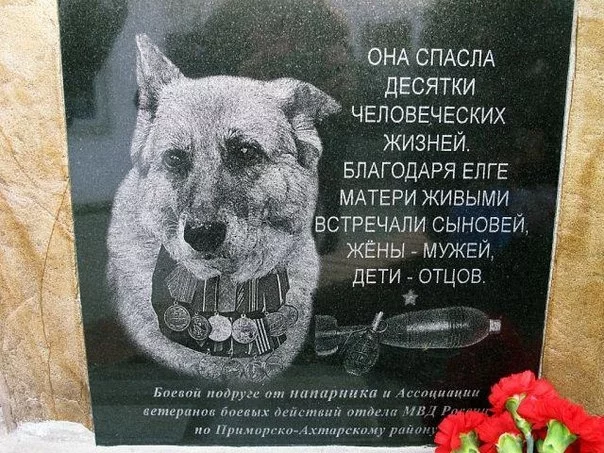 2PxuFlnfdUk.webp