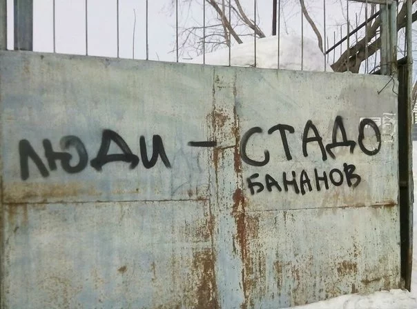 2sMZCgpCyJo.webp