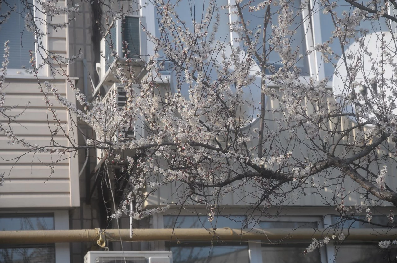 2w2xrq_wCt8.webp