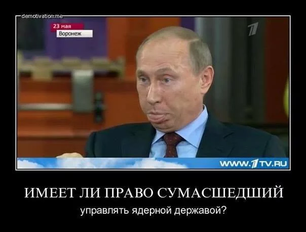 2XlviVlVdJg.webp