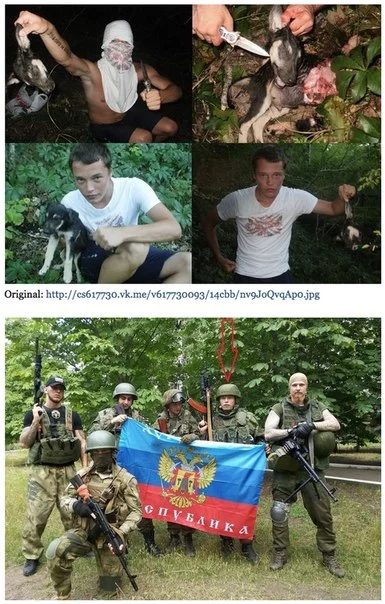2xW7KthWVL4.webp