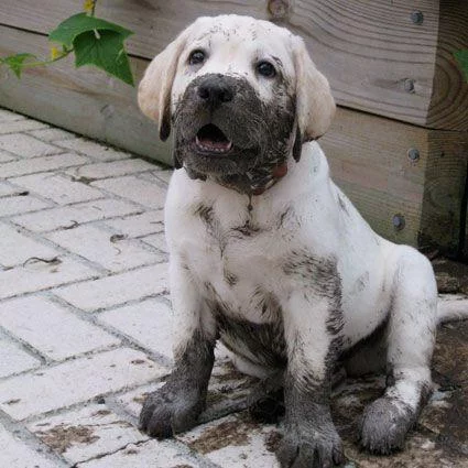 2zJt_PcAWxQ.webp