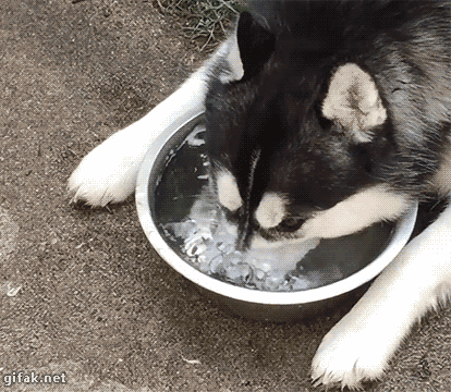 3.gif