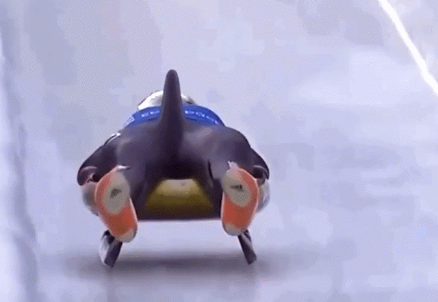3.gif