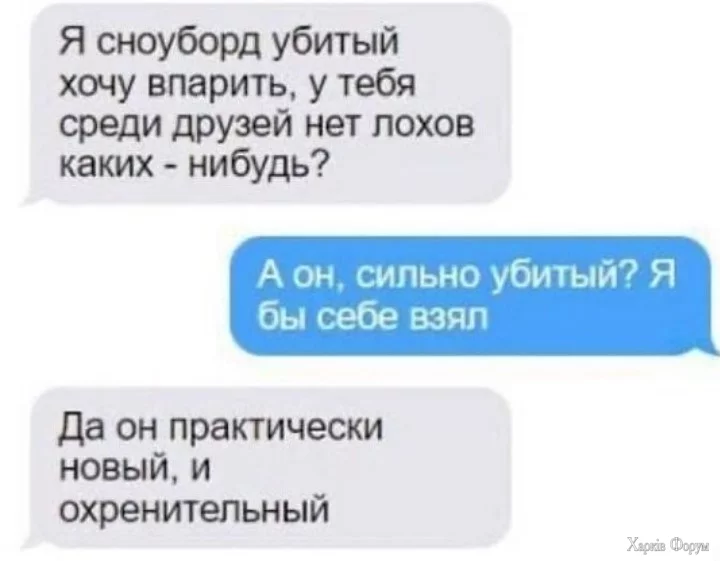 3.webp