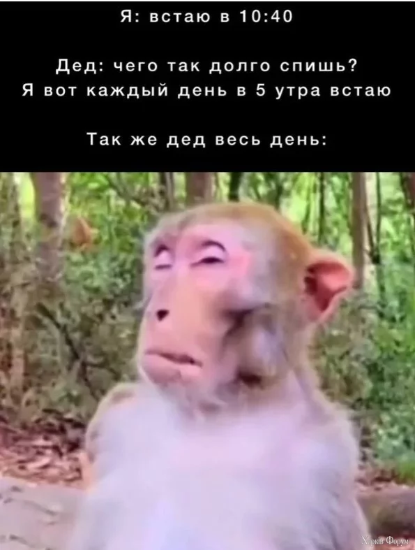 3.webp