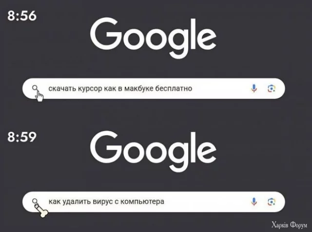 3.webp