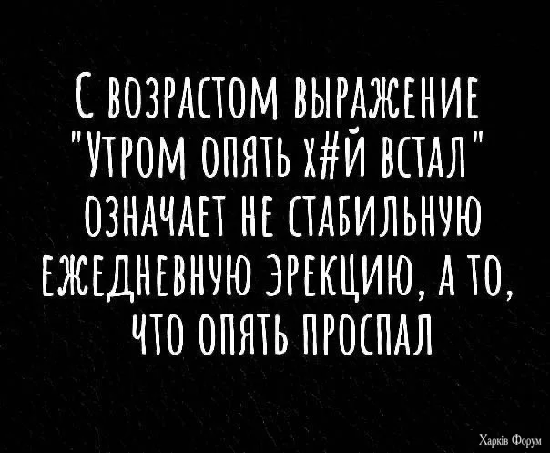 3.webp