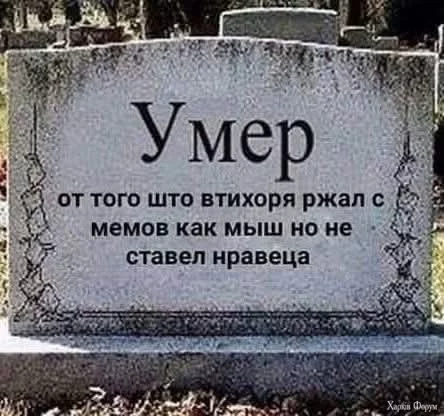 3.webp
