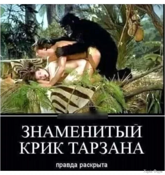 3.webp