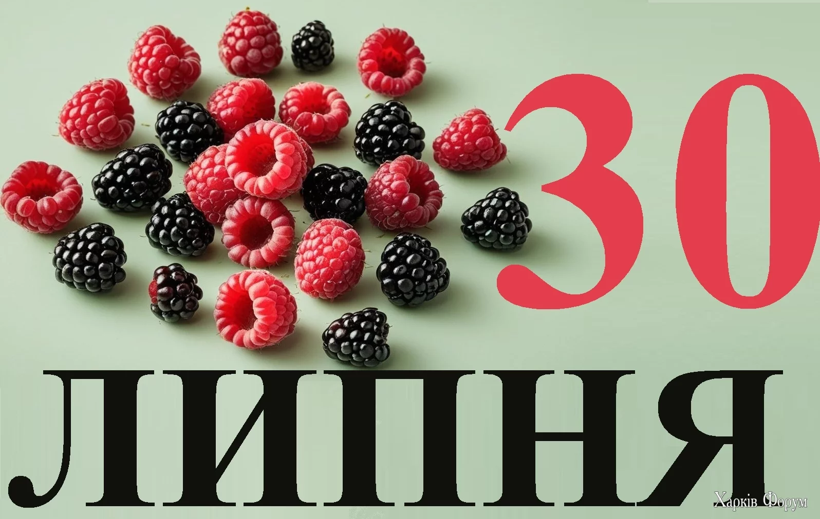 30-LIPNYA.webp