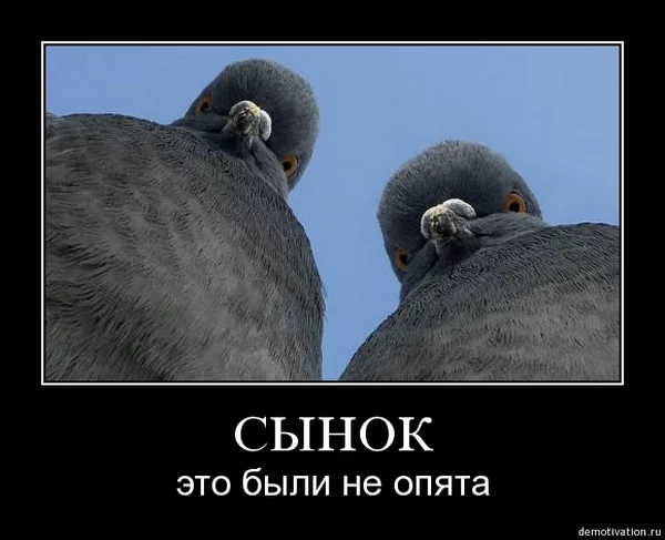 30.webp