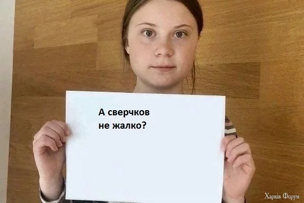 300.webp
