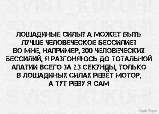 300.webp