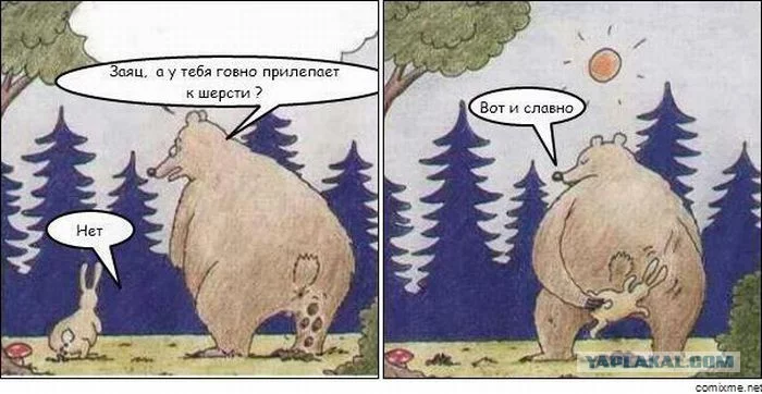 3003459.webp