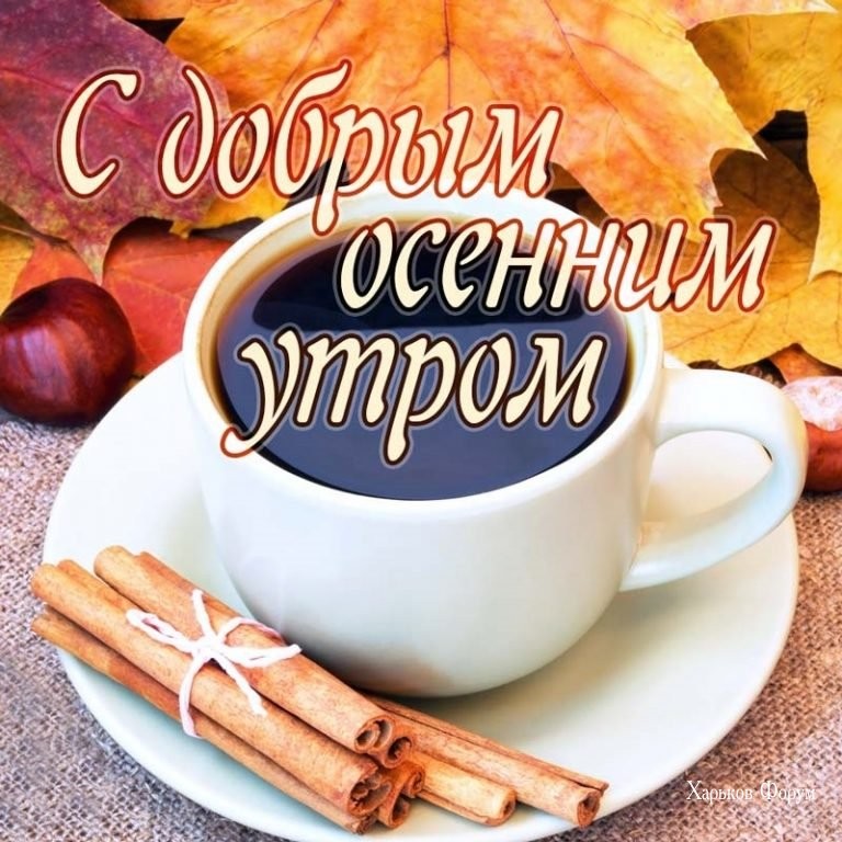 300d220545d3c7e09455.jpg