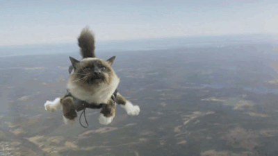 301234_812423.gif