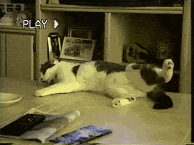301234_812425.gif