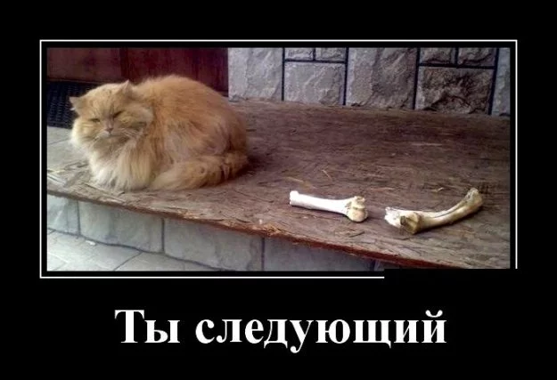 301516_814295.webp