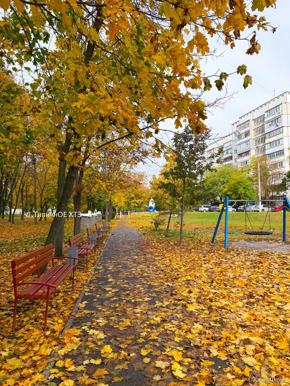 3016.webp