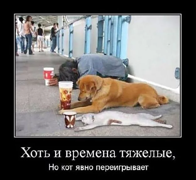 301965.webp
