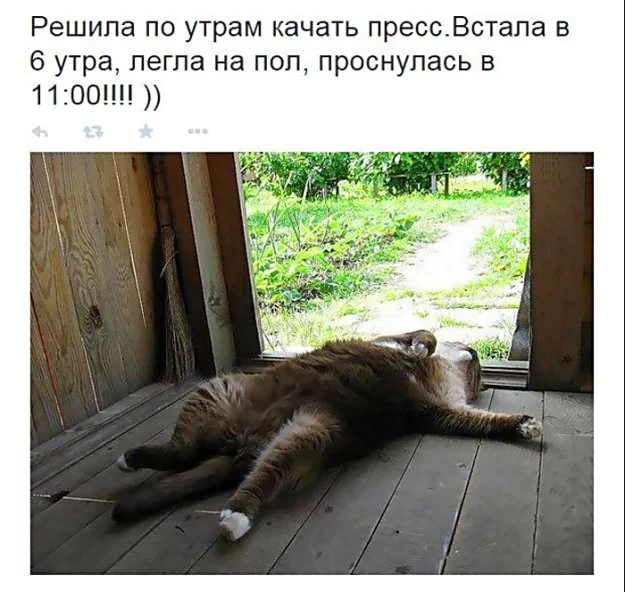 302000_818481.webp