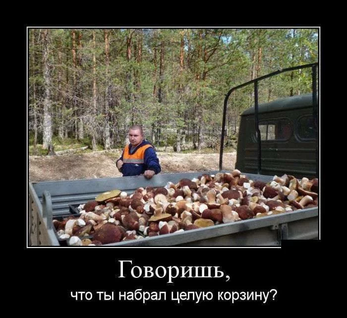 302f05a31d.webp