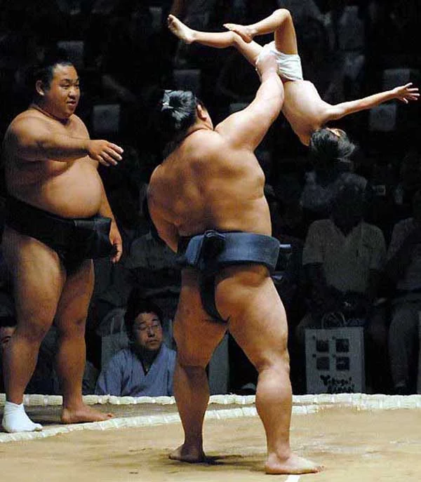 3030_6.webp