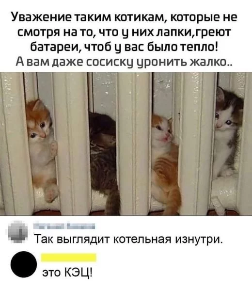 303d3d22a0b506b433967c.webp