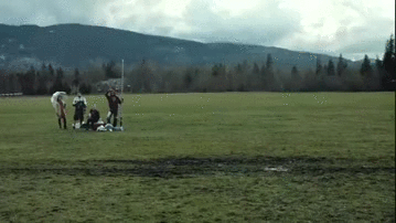 3056bfabf2e3b758c96.gif