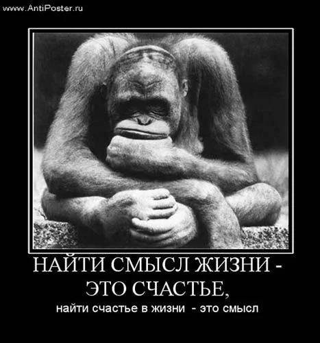 3058002.webp