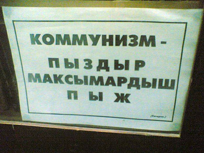 30584_1000.jpg