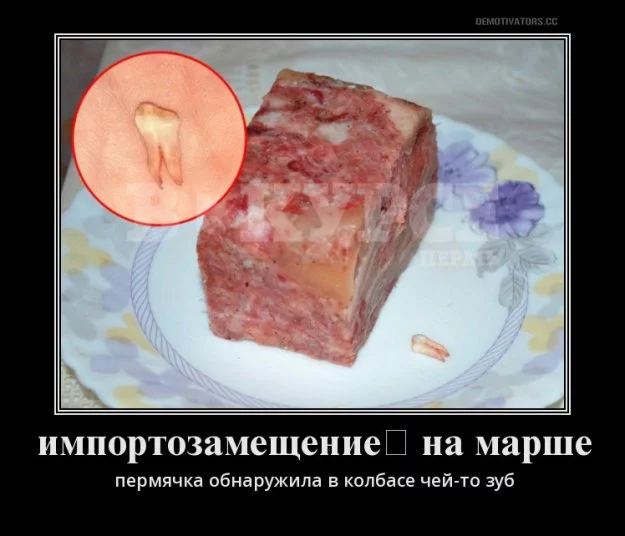 306060_855875.webp