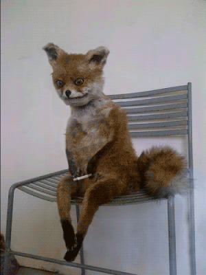 306323_858463.gif