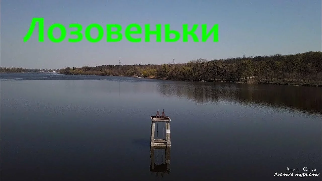 306ad8cb96719cb429.webp