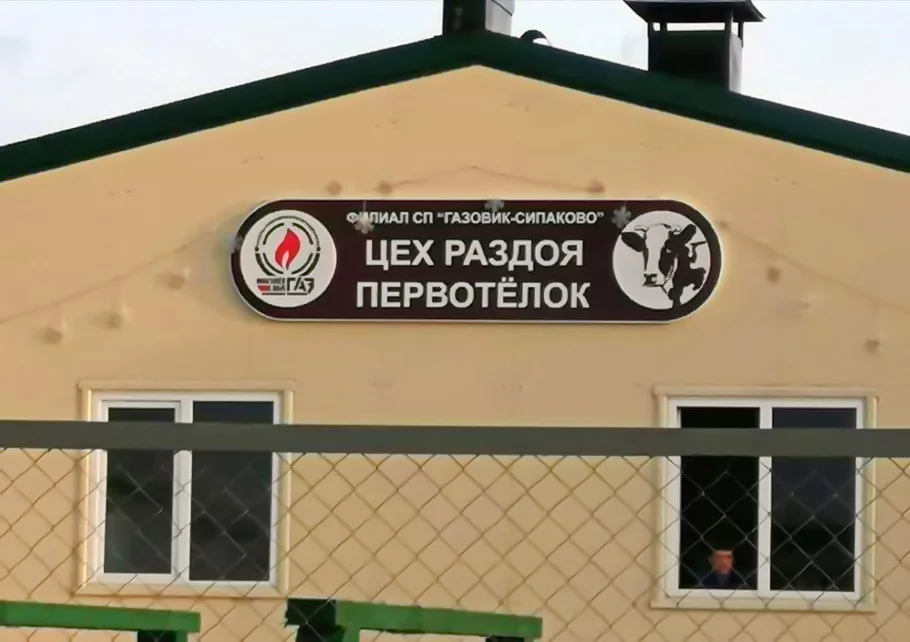 307761_original.webp