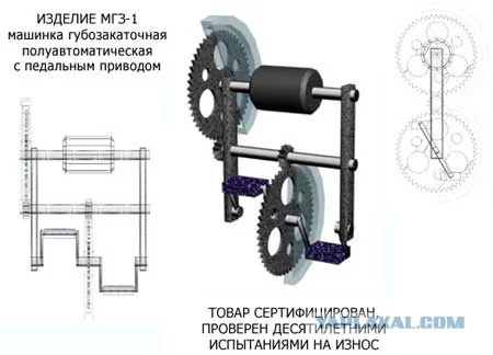 3083706.webp