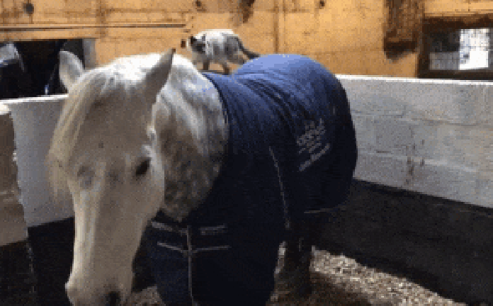3089507f482dc6f3dfd.gif