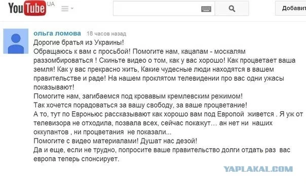 3095449.webp