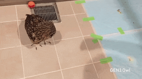 30a2b2957028fdbb6237b057.gif