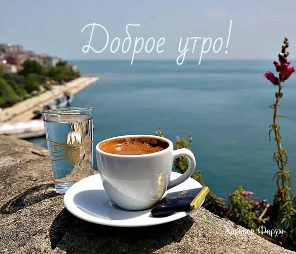 30a7c2132a753d84ac2b.webp