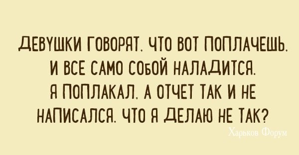 30b51e5820f6d8c166de6.jpg