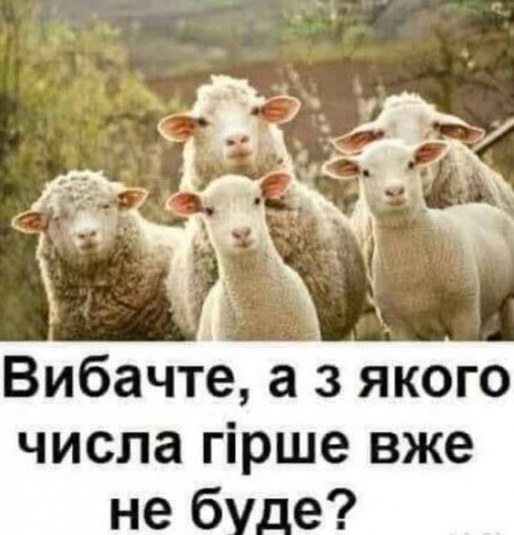 30d39613d03826dbcc447.jpg