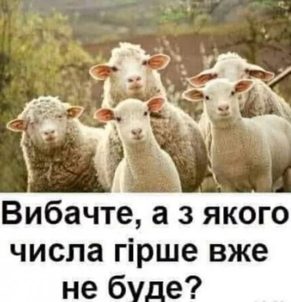 30d39613d03826dbcc447.webp