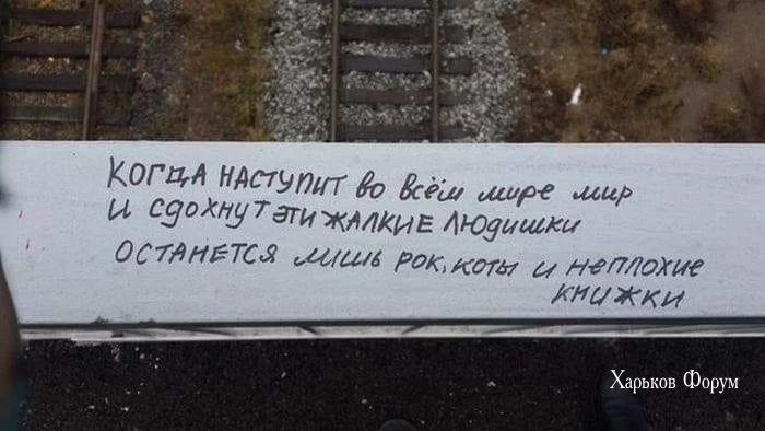 30e55e662aa7fc6424a.webp