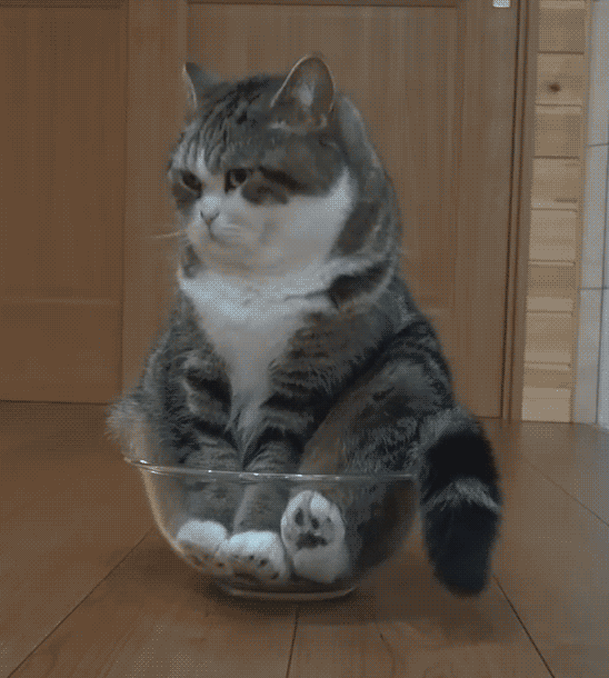 30e9b4275e5ef47c4.gif