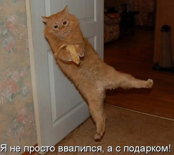 31.webp